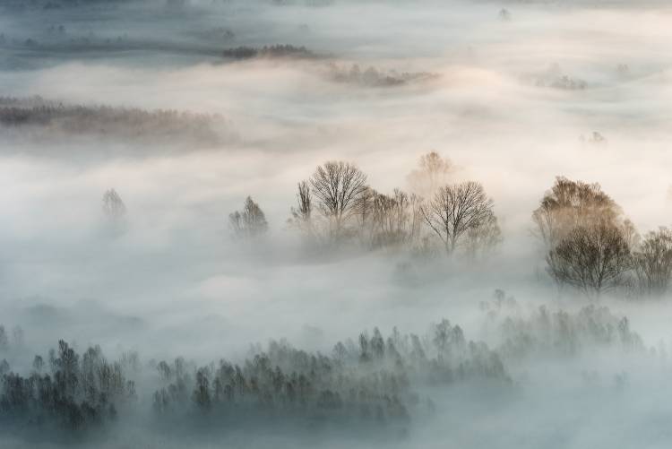 Winter fog from Marco Galimberti