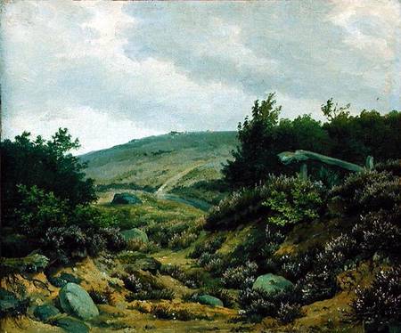 On the Moor from Marcus Johann Haeselich