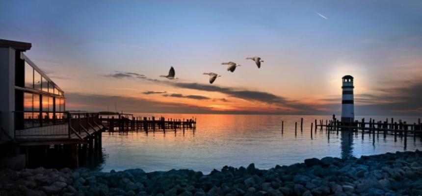 Podersdorf from Mariola Bednar