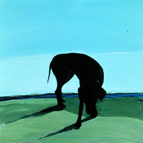 Joe''s Black Dog, 1996 (acrylic on canvas)  from Marjorie  Weiss