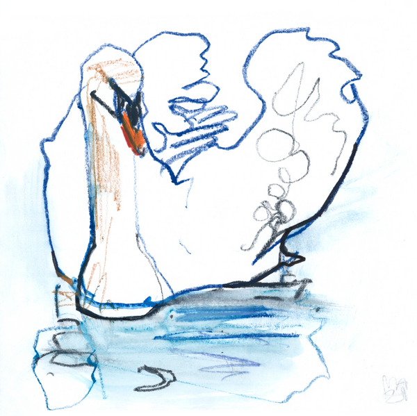 Swan Lake from Mark  Adlington