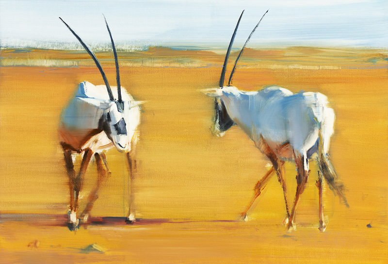Circling Arabian Oryx from Mark  Adlington