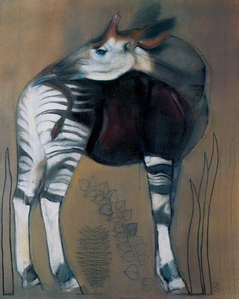 Okapi from Mark  Adlington