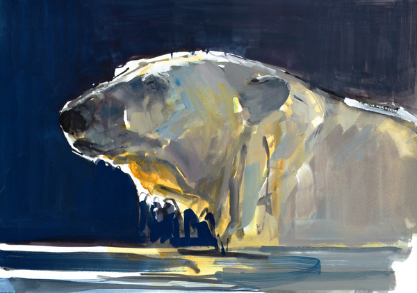 Arctic Silhouette from Mark  Adlington