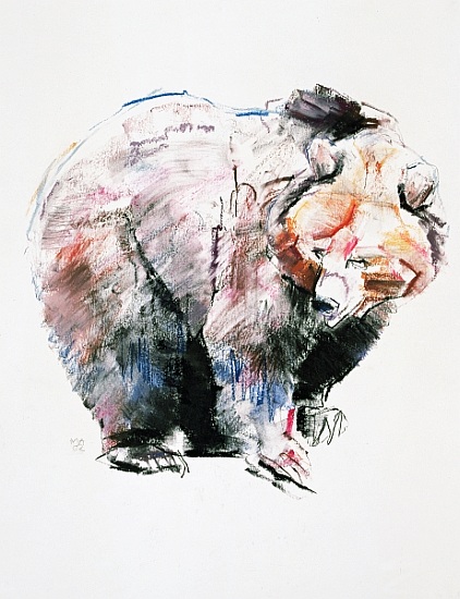 Bear from Mark  Adlington