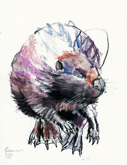 Beaver from Mark  Adlington