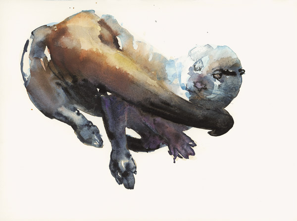 Otter Study I - Talisker from Mark  Adlington