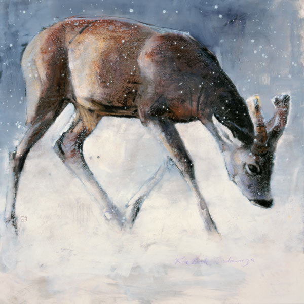 Roe Buck, Winter from Mark  Adlington