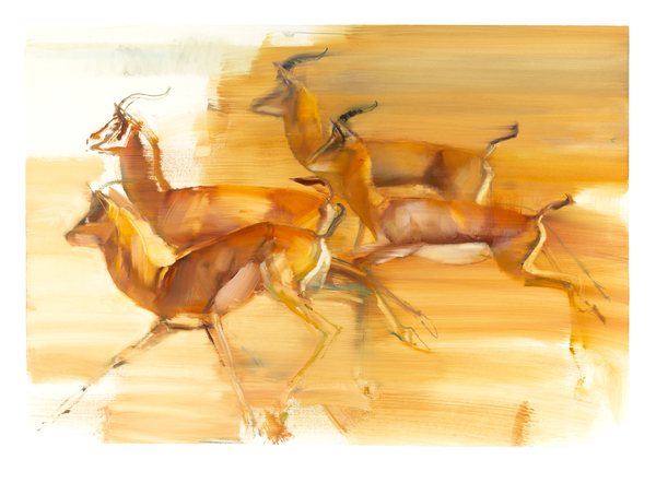 Running Gazelles from Mark  Adlington