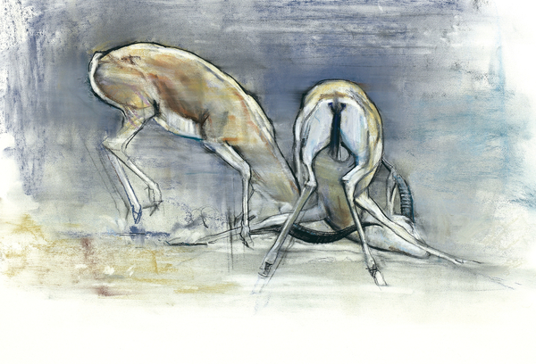 Sand Gazelles from Mark  Adlington