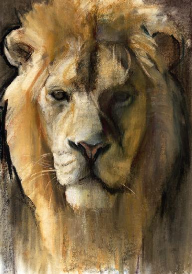 Asiatic Lion