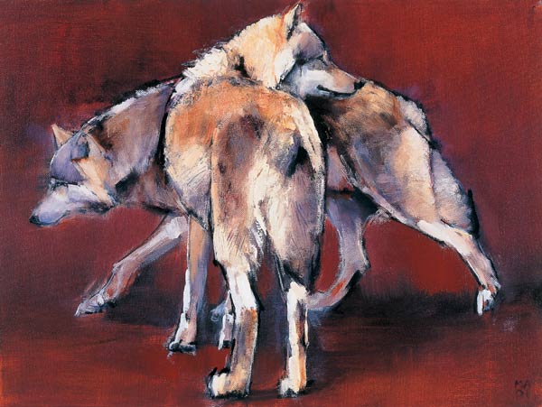 Wolf Composition from Mark  Adlington