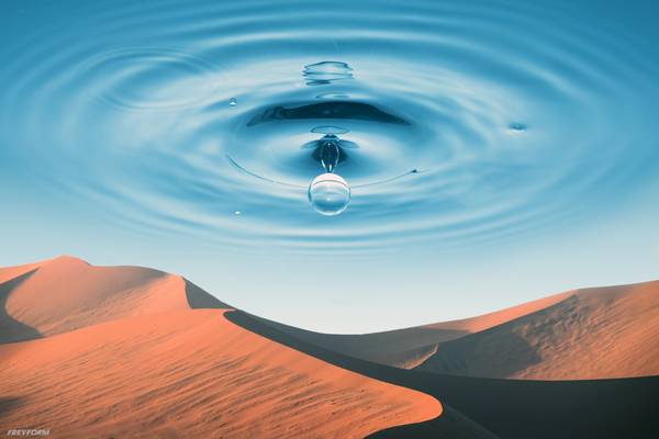 Die Wüste from Markus Bergmann