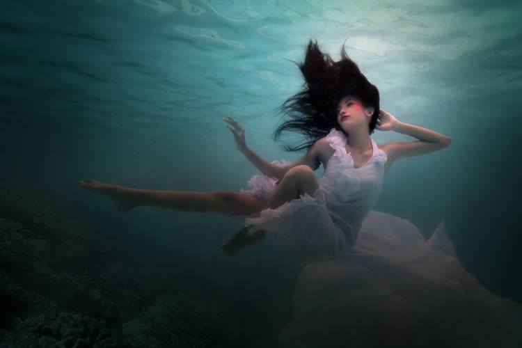 Beneath the Sea from Martha Suherman