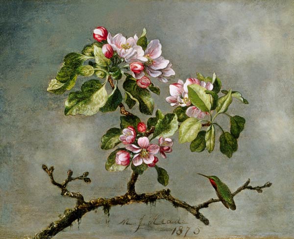 Apple Blossoms and a Hummingbird from Martin Johnson Heade