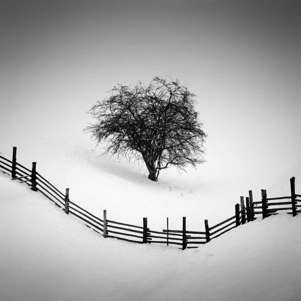 Trapped from Martin Rak
