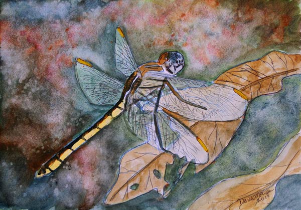 Dragonfly 1 from Derek McCrea
