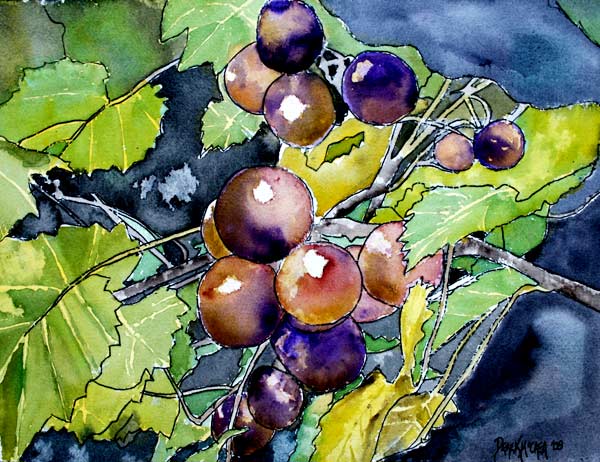 Grape Vine from Derek McCrea