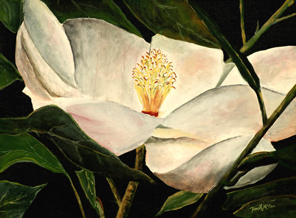 Magnolia new from Derek McCrea