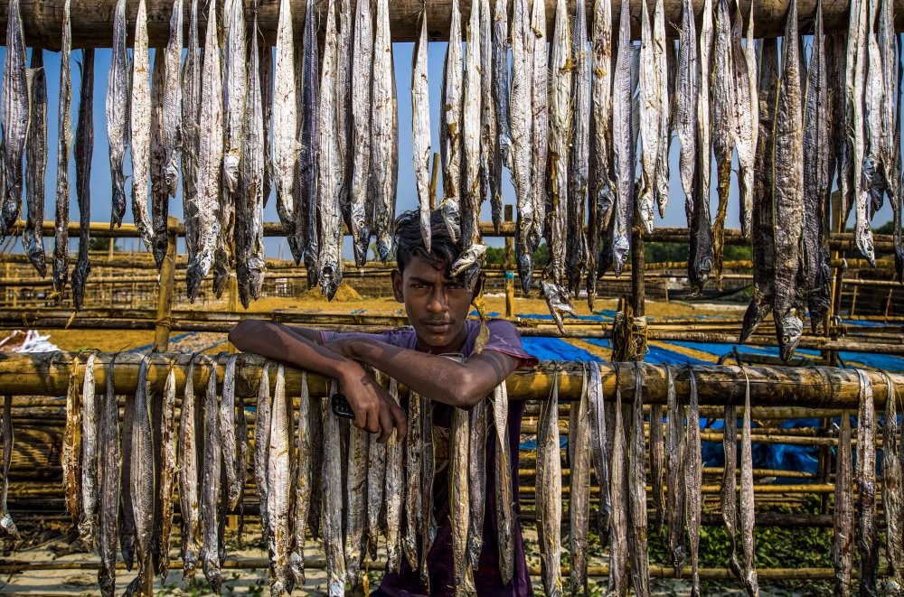 Ein Arbeiterjunge aus getrocknetem Fisch from Md. Sharif Uddin