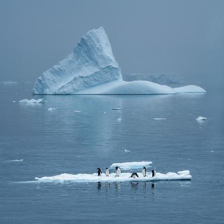Alltag in der Antarktis