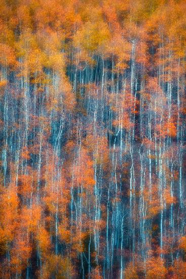 Herbstliche abstrakte Vertikale