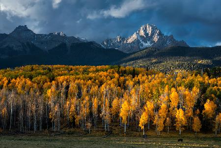 Mt. Sneffels im Herbst