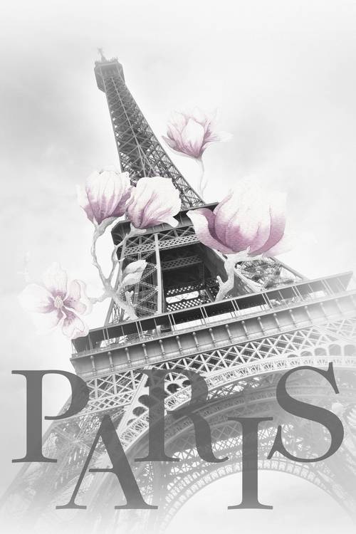 PARIS Eiffelturm mit Magnolien  from Melanie Viola