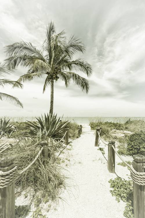 Weg zum Strand - Palmen & Meer | Vintage from Melanie Viola