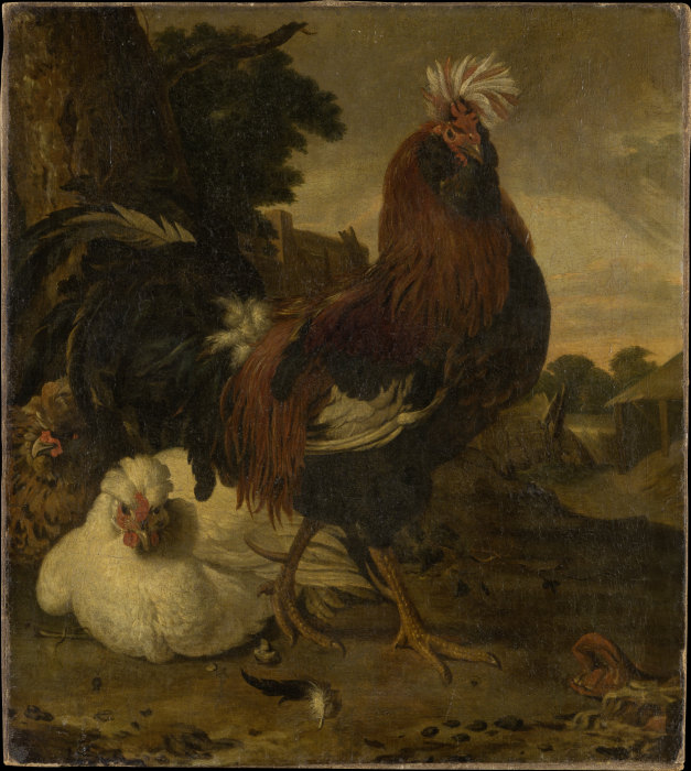 Hahn und zwei Hennen from Melchior de Hondecoeter