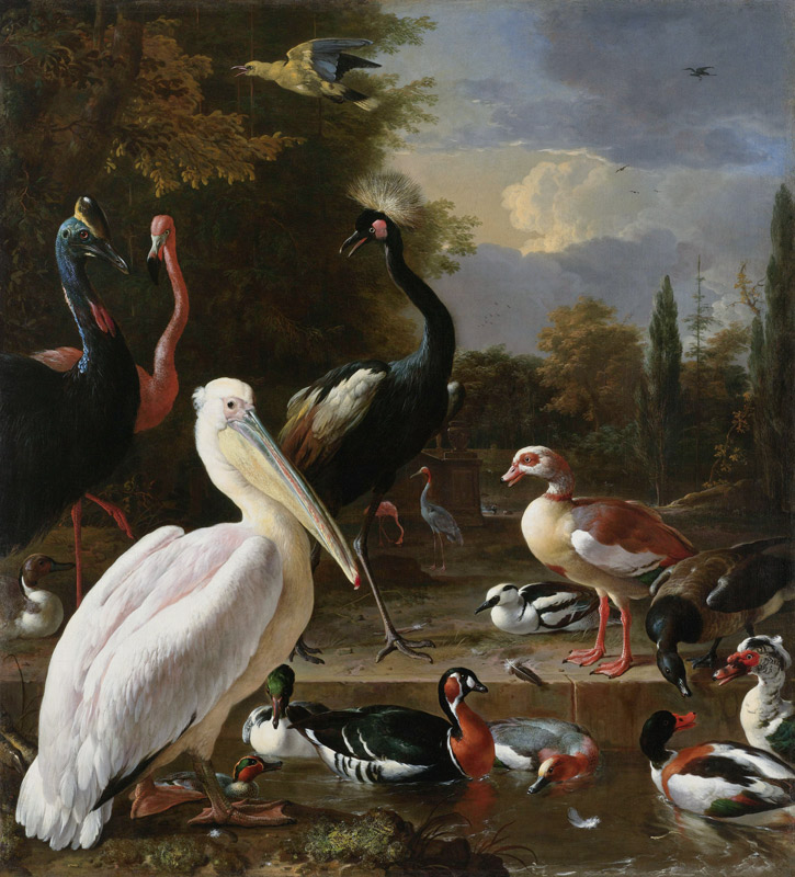 A Pelican and other Birds near a Pool, Known as ‘The Floating Feather’ from Melchior de Hondecoeter