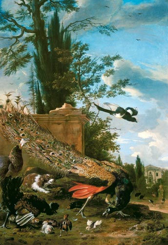 A Peacock and a Spaniel in the Garden of a Villa from Melchior de Hondecoeter