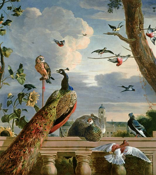 Palace of Amsterdam with Exotic Birds from Melchior de Hondecoeter