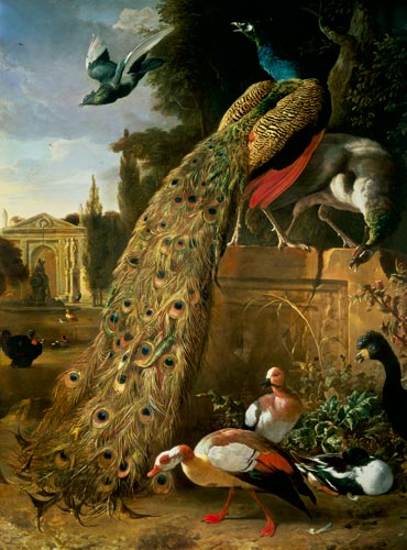 Peacock and a Peahen on a Plinth, with Ducks and Other Birds in a Park from Melchior de Hondecoeter