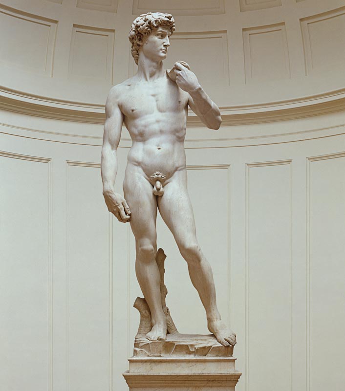 David from Michelangelo (Buonarroti)