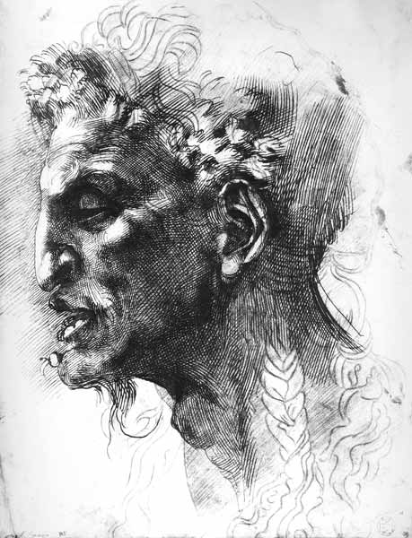 Head of a Satyr (pen & ink on paper) from Michelangelo (Buonarroti)