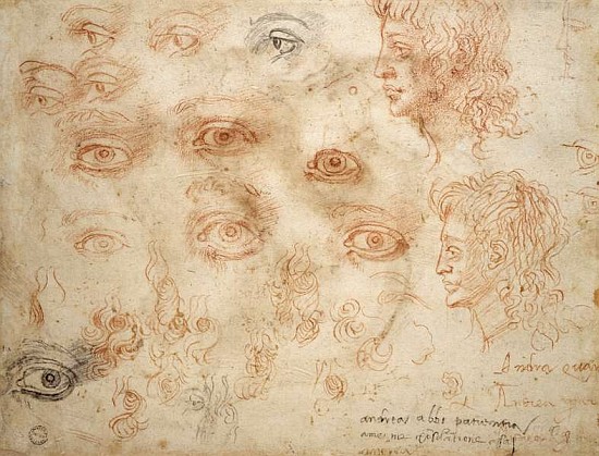 Studies of Two Heads, c.1525 from Michelangelo (Buonarroti)