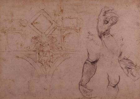 Study of Arms and Hands, black chalk from Michelangelo (Buonarroti)