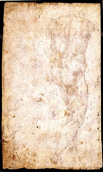 Study of a Male Nude  (for verso see 191765) from Michelangelo (Buonarroti)