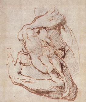 Study of an Arm Inv.1859/5/14/819 (W.49)