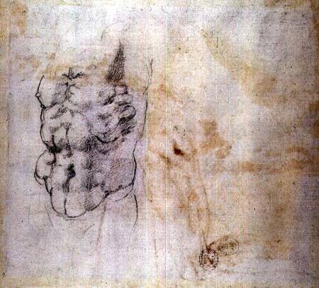 Torso Study (W.45 verso) from Michelangelo (Buonarroti)