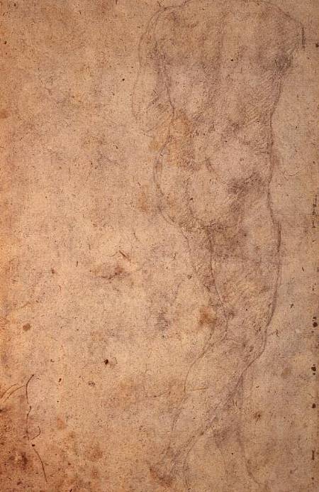 W.48 Sketch of a standing male nude, rear view from Michelangelo (Buonarroti)