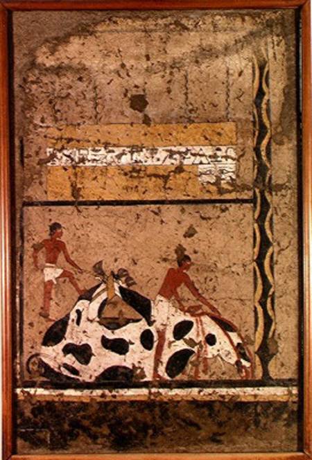 Funerary sacrifice of a bull, from the Tomb of Iti from Middle Kingdom Egyptian