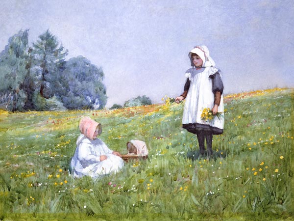 Buttercups and Daisies from Minnie Jane Hardman