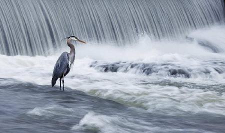 Solitude in stormy waters