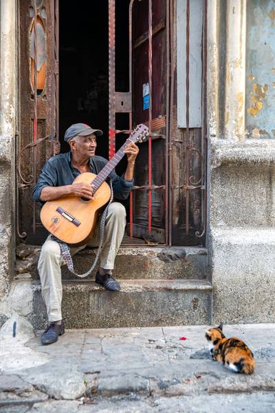 Song for a Cat in Havana, Kuba. from Miro May