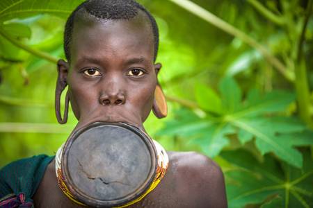 Porträt Frau mit Lippenteller aus dem Suri / Surma Stamm in Omo Valley, Äthiopien, Afrika