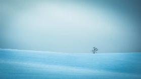 Winter in solitude