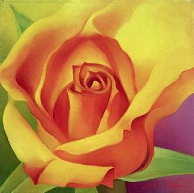 The Rose, 2000 (oil on canvas) 