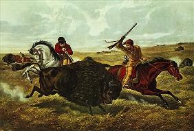 Life on the Prairie - the Buffalo Hunt